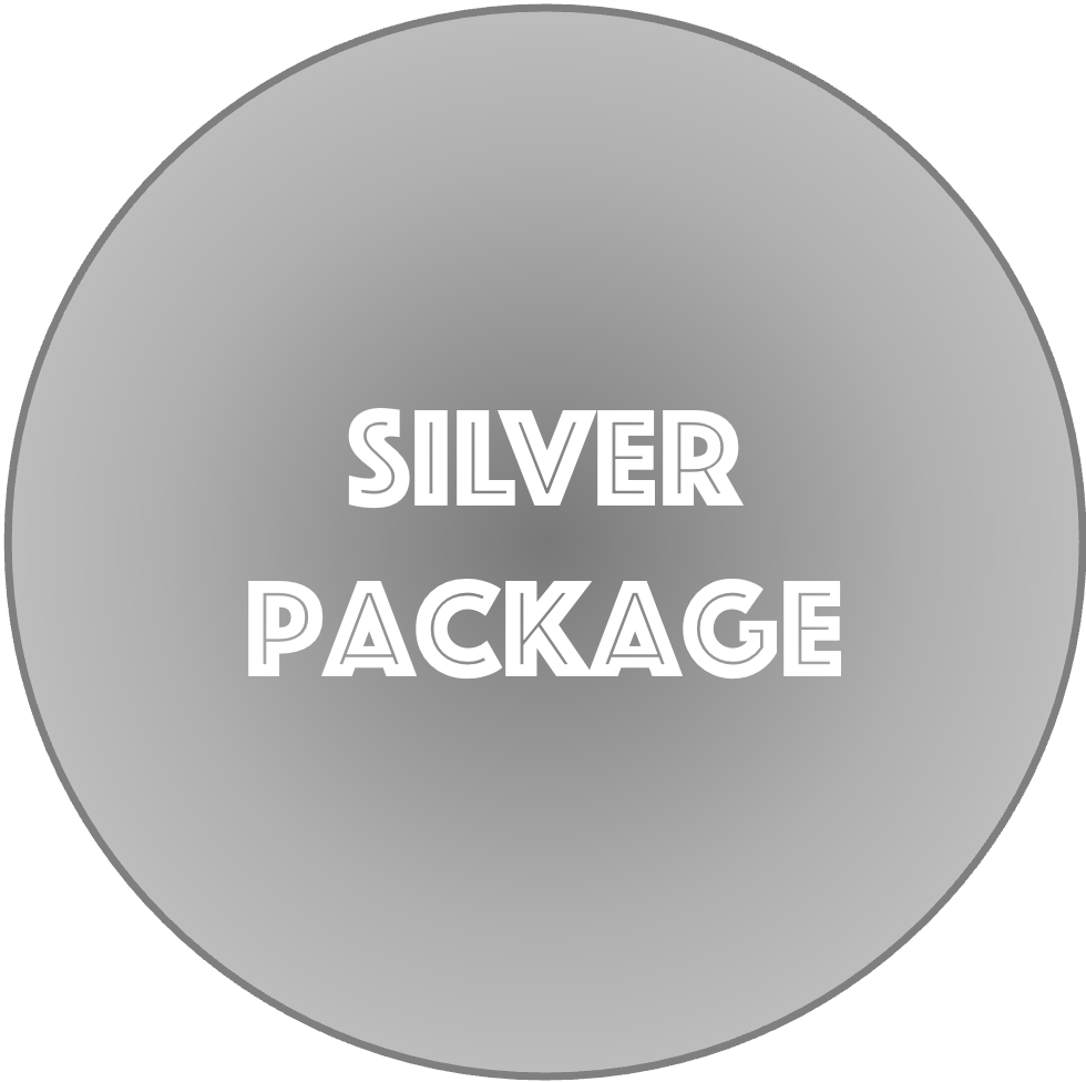 Silver Sponsorship Package